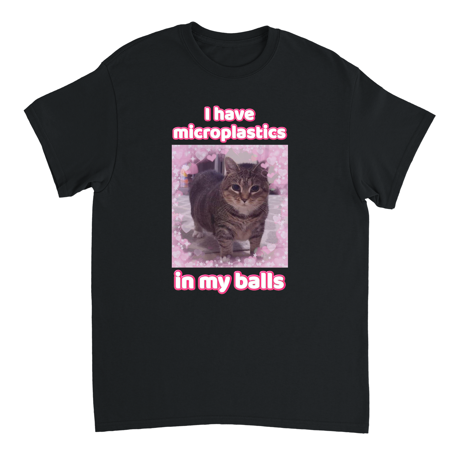 I Have Microplastics in my Balls T-Shirt