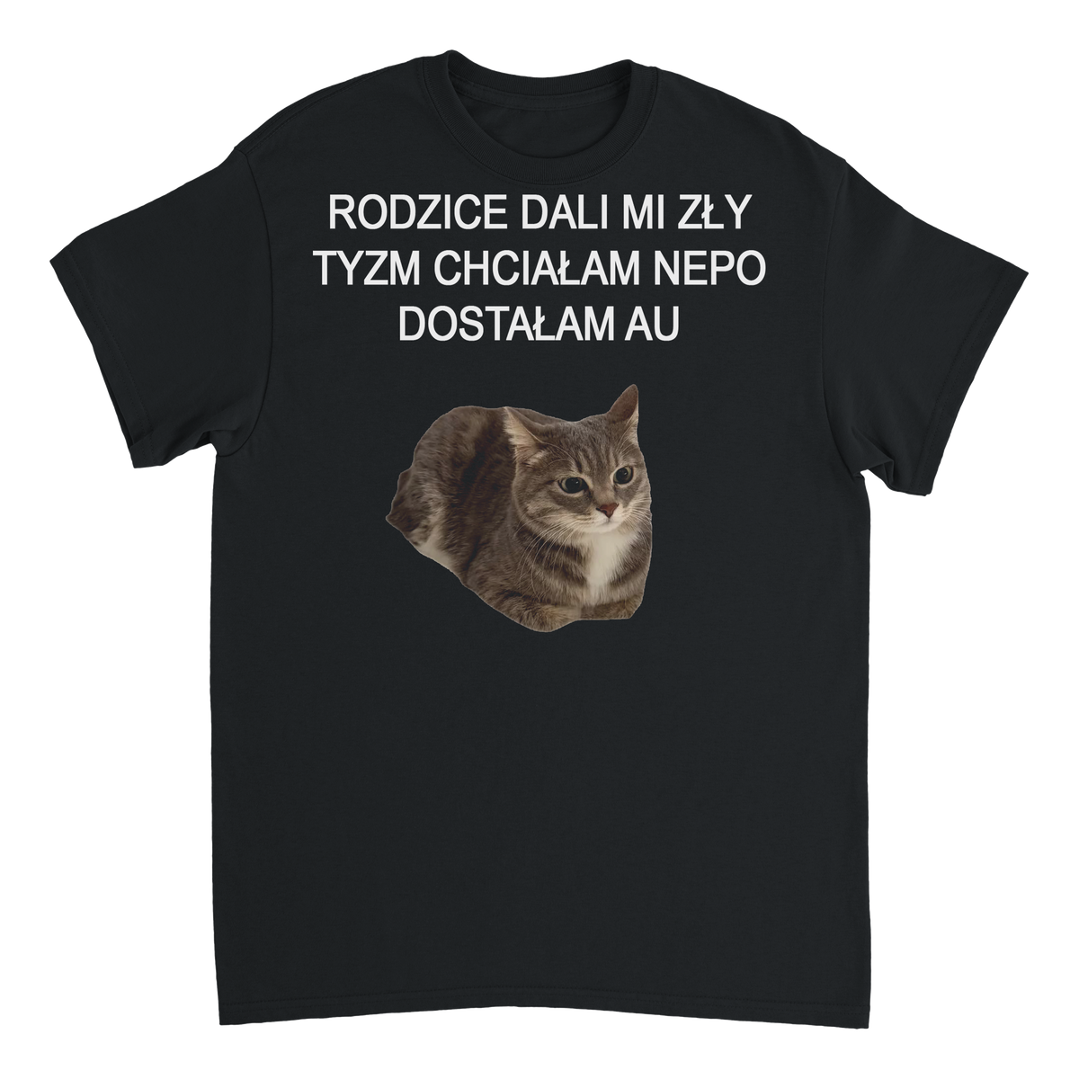 rodzice dali mi zły tyzm T-Shirt