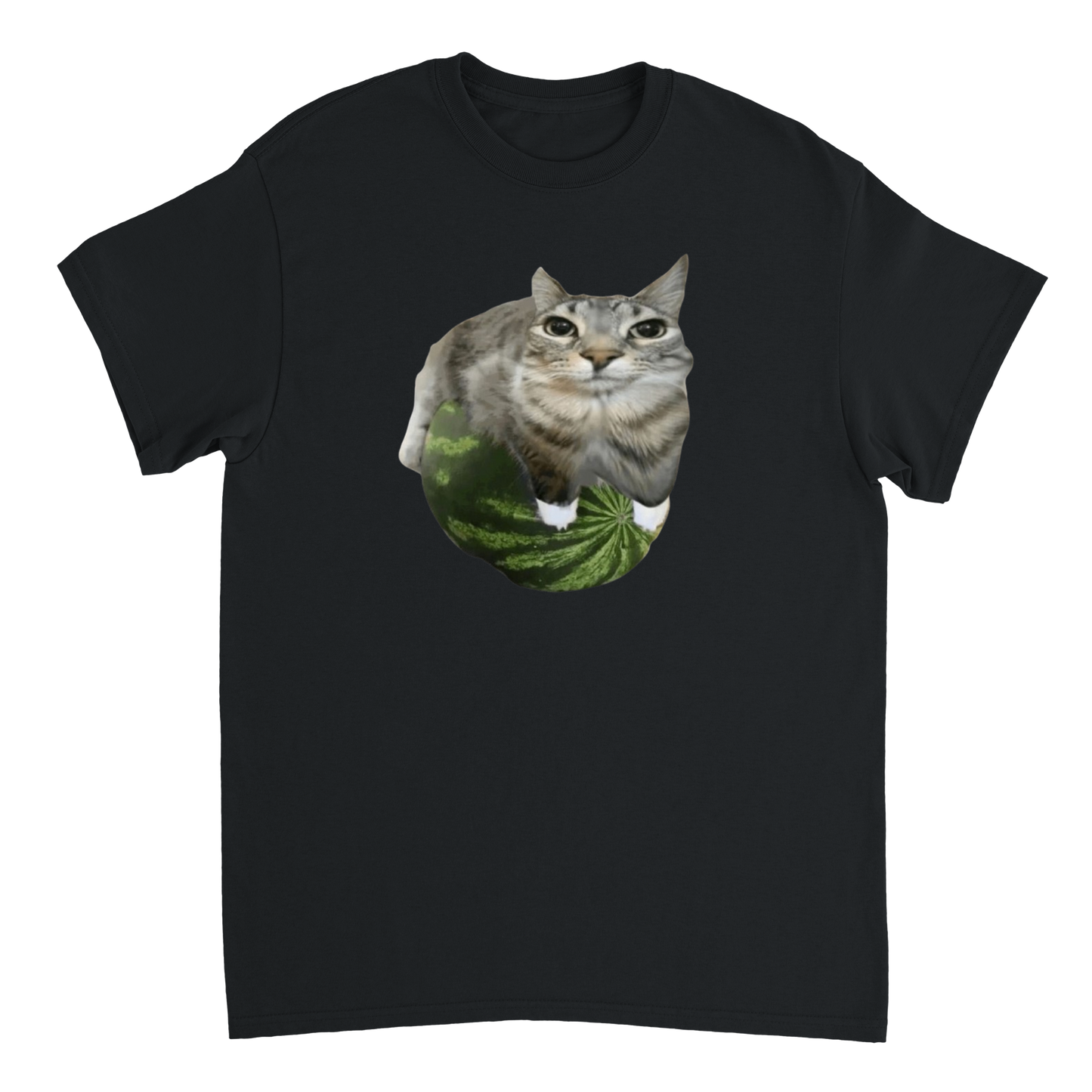 Watermelon cat T-Shirt