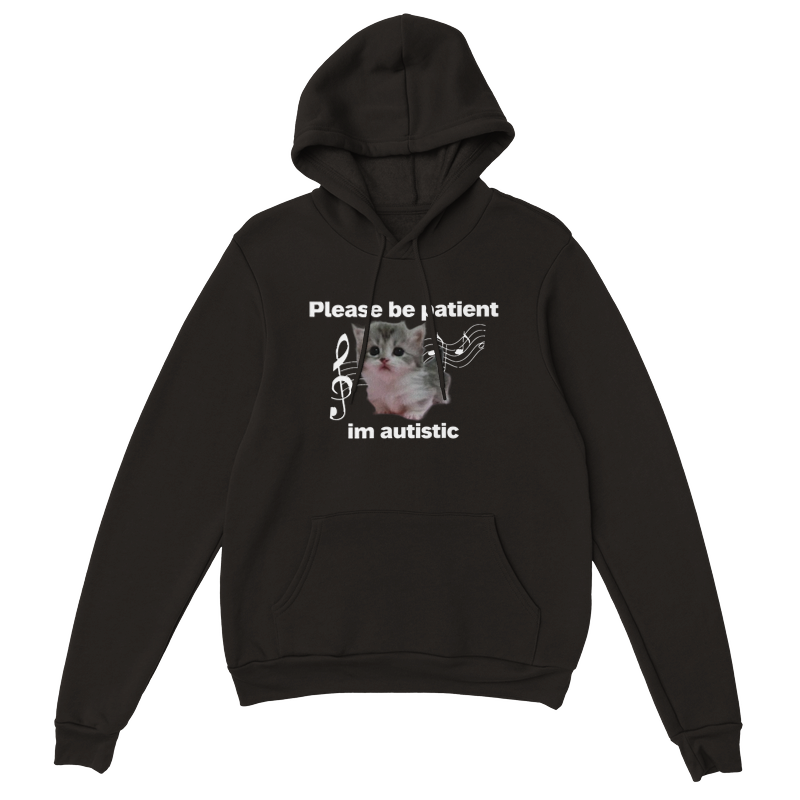 acoustic Hoodie