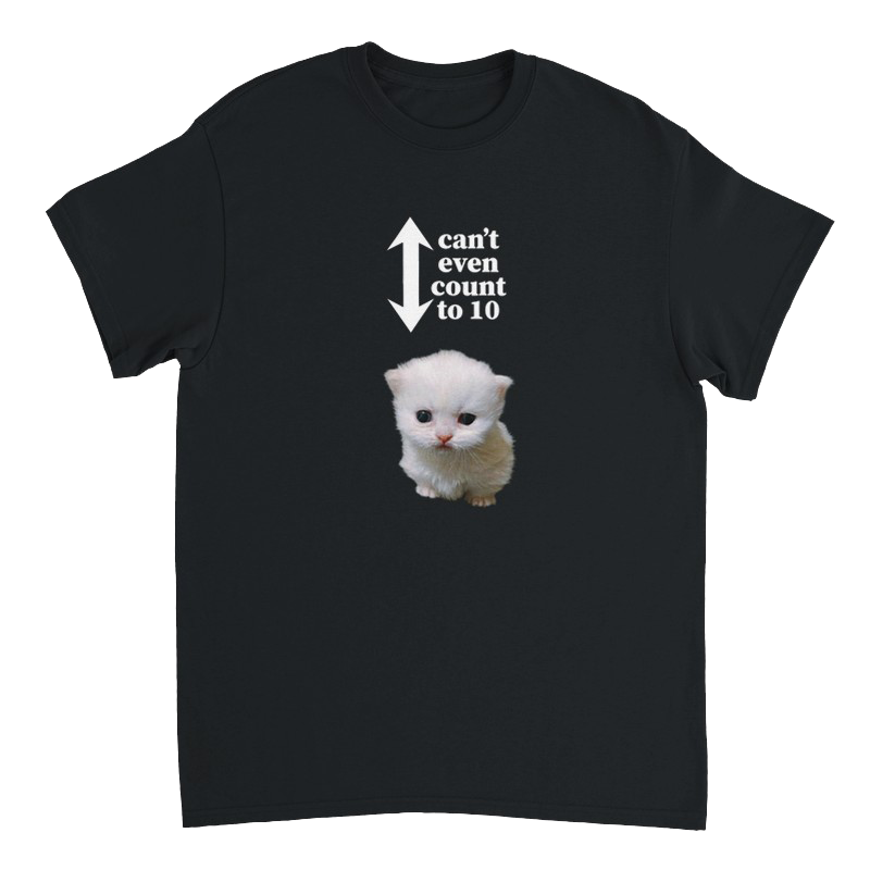 can't count T-shirt