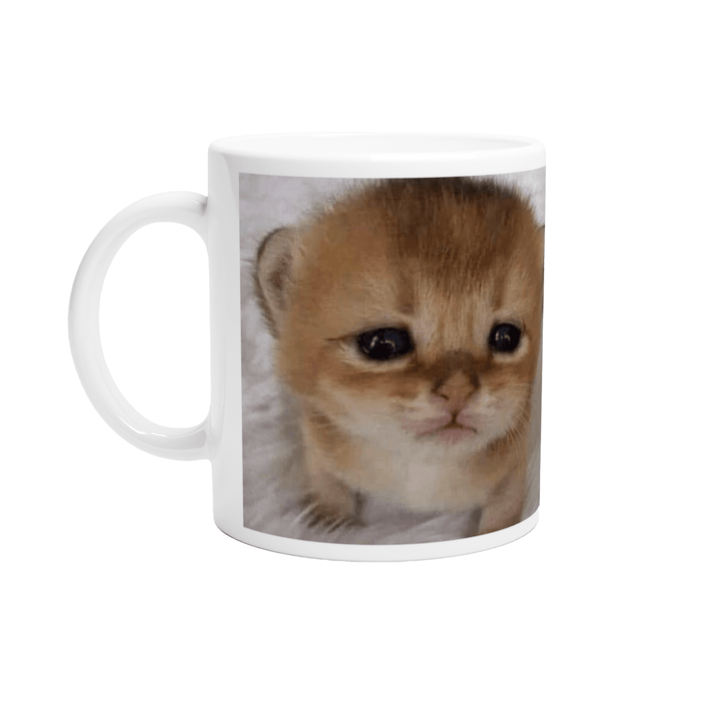 silly kitten Kubek - kizia