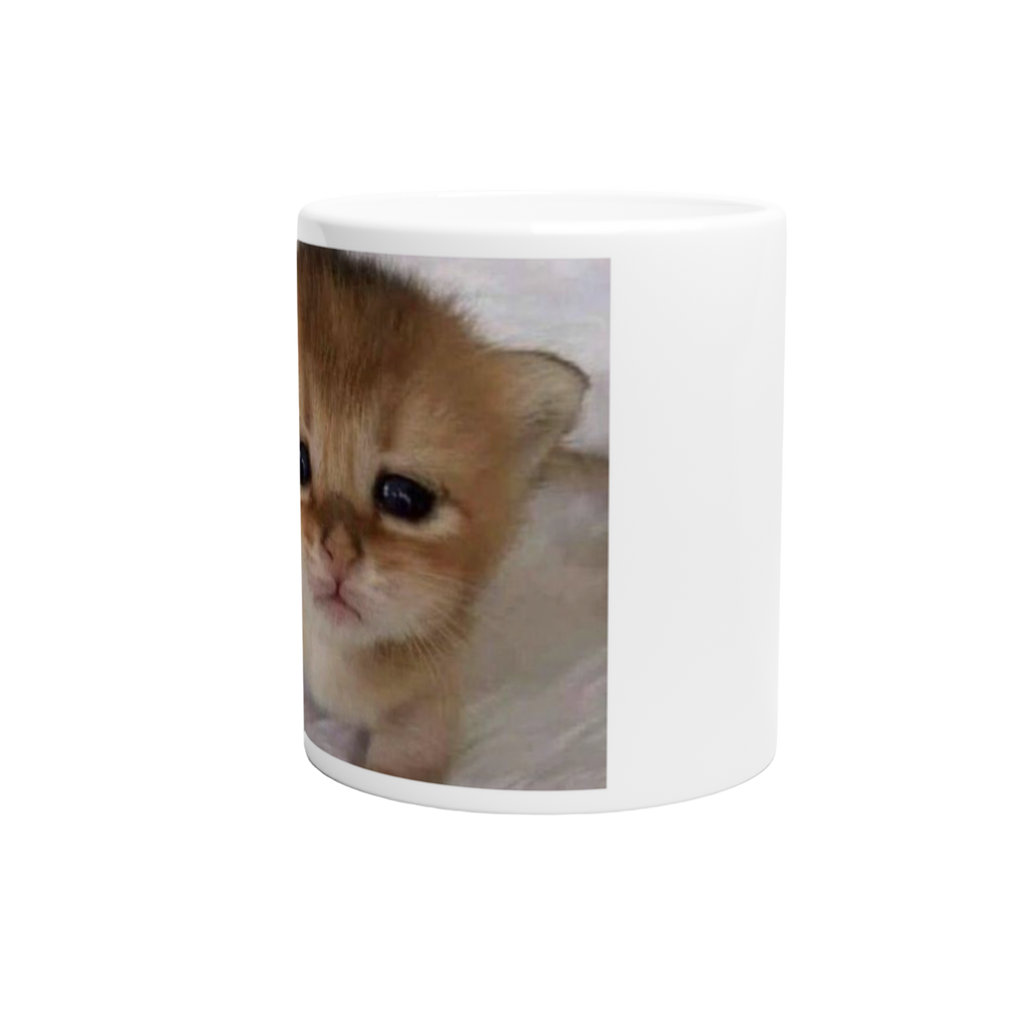silly kitten Kubek
