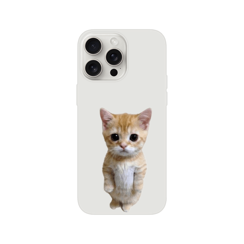 standing cat#2 case - kizia