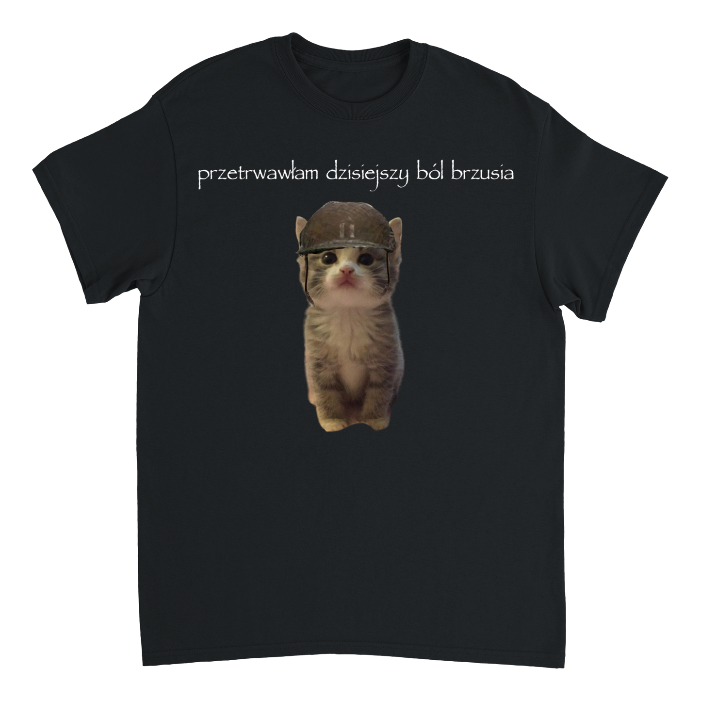 przetrwałam dzisiejszy ból brzusia T-Shirt