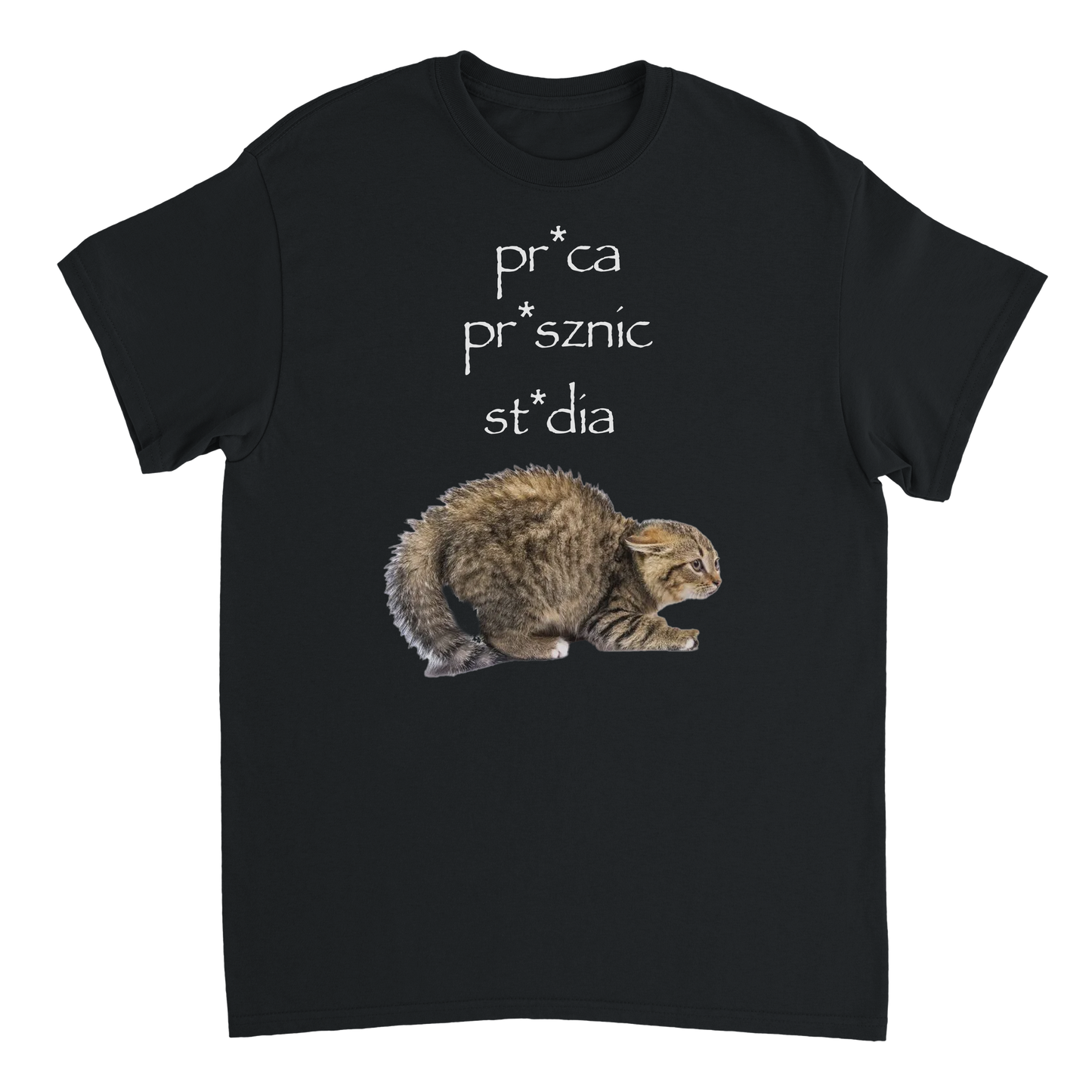 pr*ca pr*sznic st*dia T-Shirt