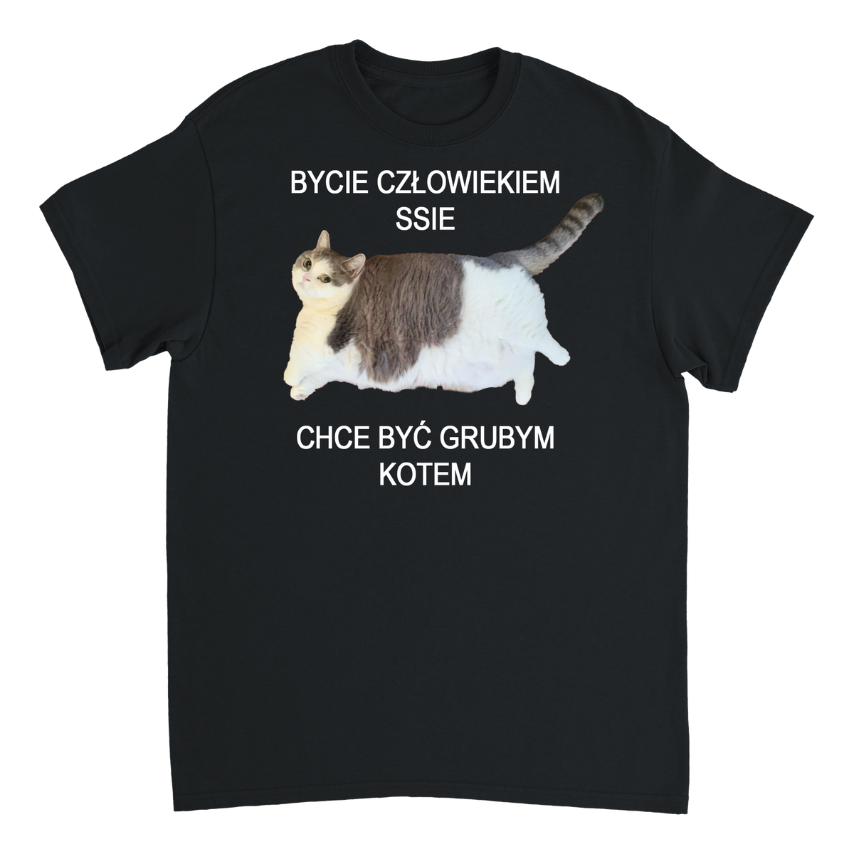 chce być grubym kotem T-Shirt